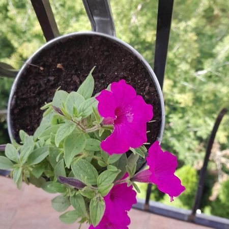 Apartamenty Puk Puk Mrągowo Buitenkant foto
