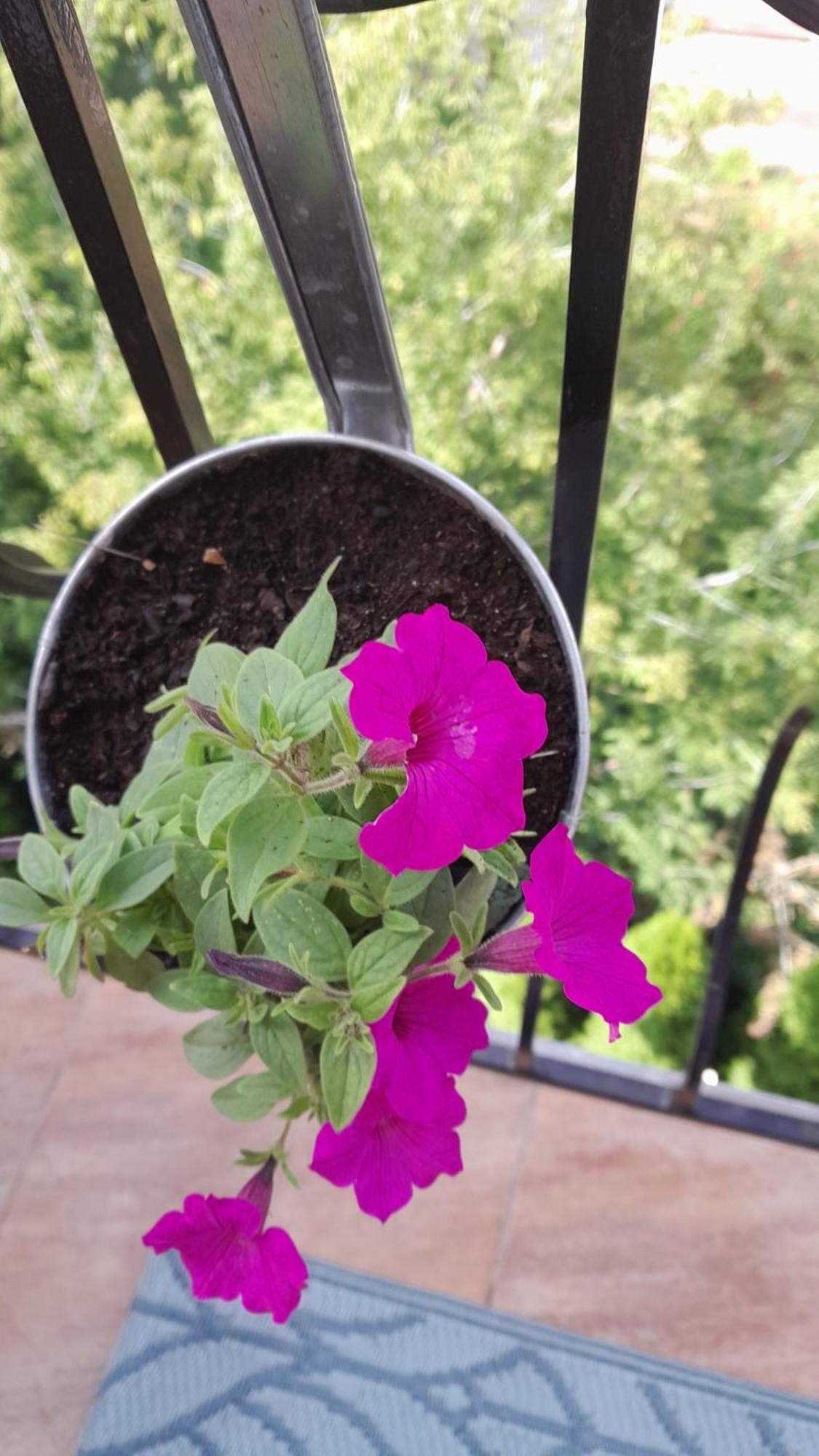 Apartamenty Puk Puk Mrągowo Buitenkant foto